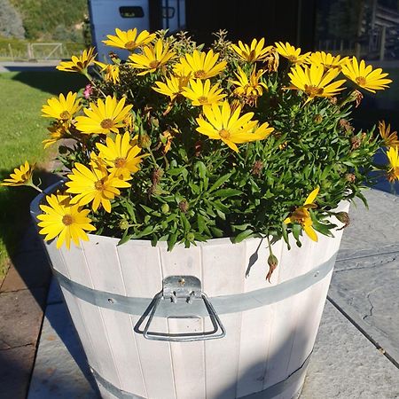 Mangaroa, Farmstay Upper Hutt Eksteriør bilde